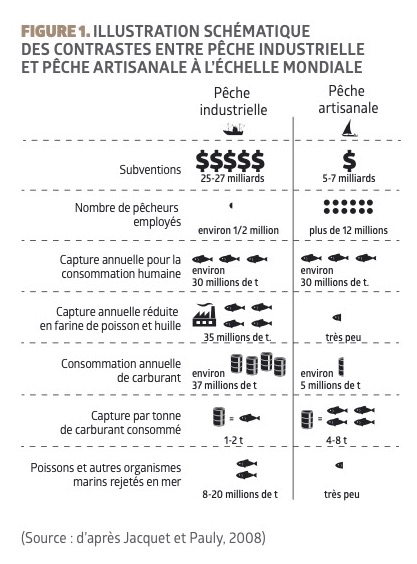 Pêche durable : comment consommer du poisson de manière responsable ?